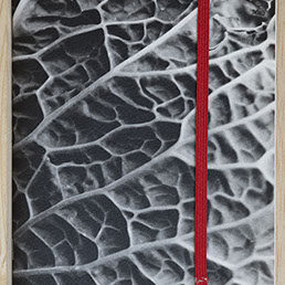Cuadernos